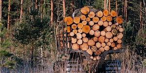 Услуги