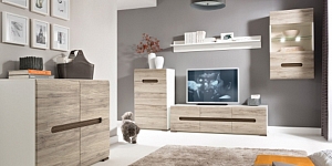 Living room furniture