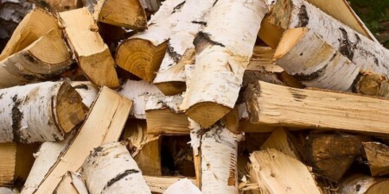 Firewood, sale of firewood throughout Kurzeme