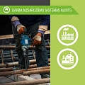 Occupational health and safety system audit