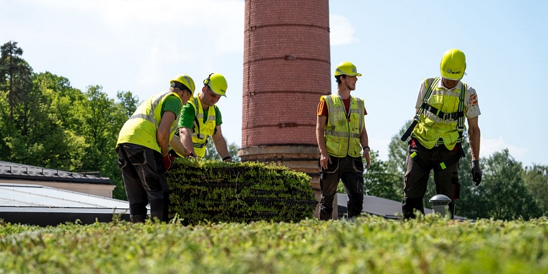 Green roofs