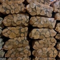 export quality firewood