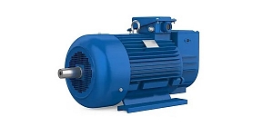 Repair of asynchronous electric motors