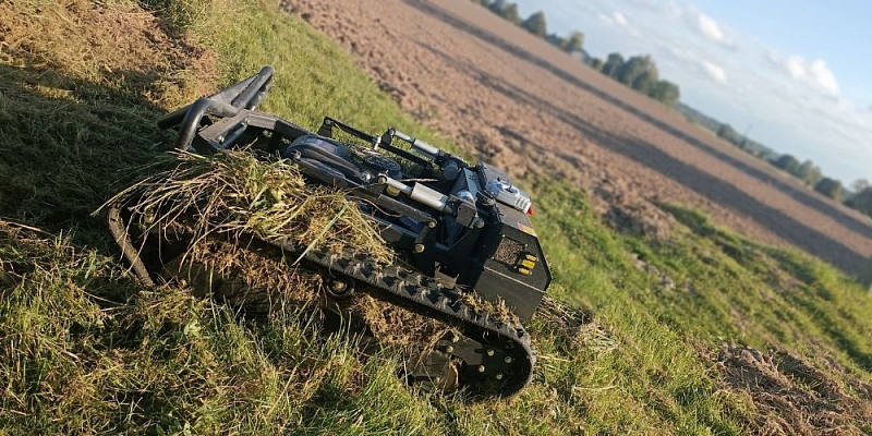 Благоустройство газона