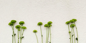 Наши контакты