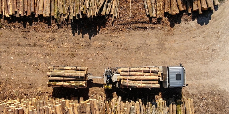 Timber production and supply