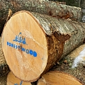 Find out the price for round wood