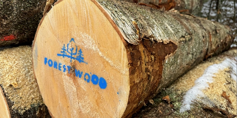 The price of round wood in Škėda