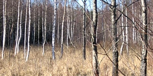 Производство топлива