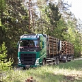 заготовка и транспортировка древесины