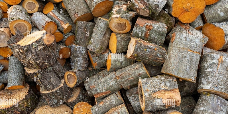 Доставка дров по всей Курземе