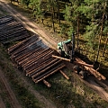 Лесное хозяйство