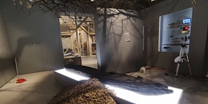 Gallery of completed works