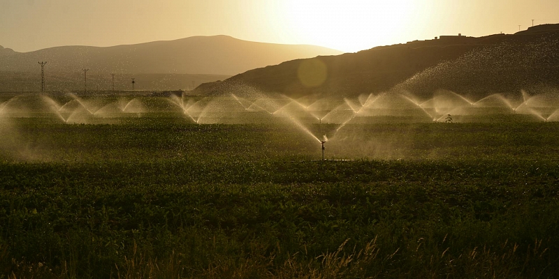 Watering systems