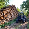 Logging