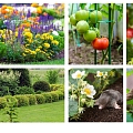 Products for the care of garden plants