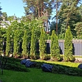 Уход за зелеными насаждениями