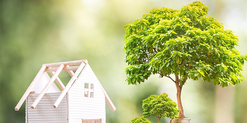 Laiks plānot mājas būvniecību!