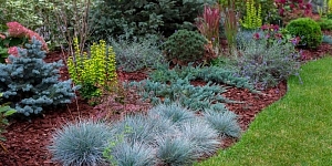 Благоустройство и озеленение