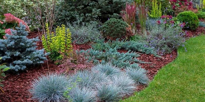 Improvement and greening