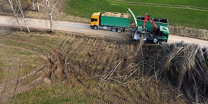 Управление лесным хозяйством