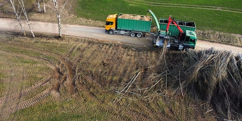 Управление лесным хозяйством