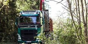 Закупка деревоматериалов