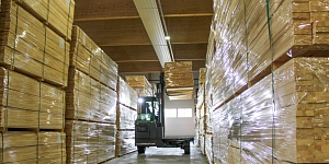 Personāla pacēlāji