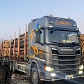 Log export