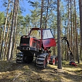 работы по лесоразработки