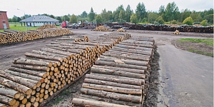 Закупается пиловочник