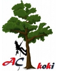 AC koki, ООО