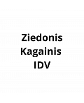Зиедонис Кагайнис IDV